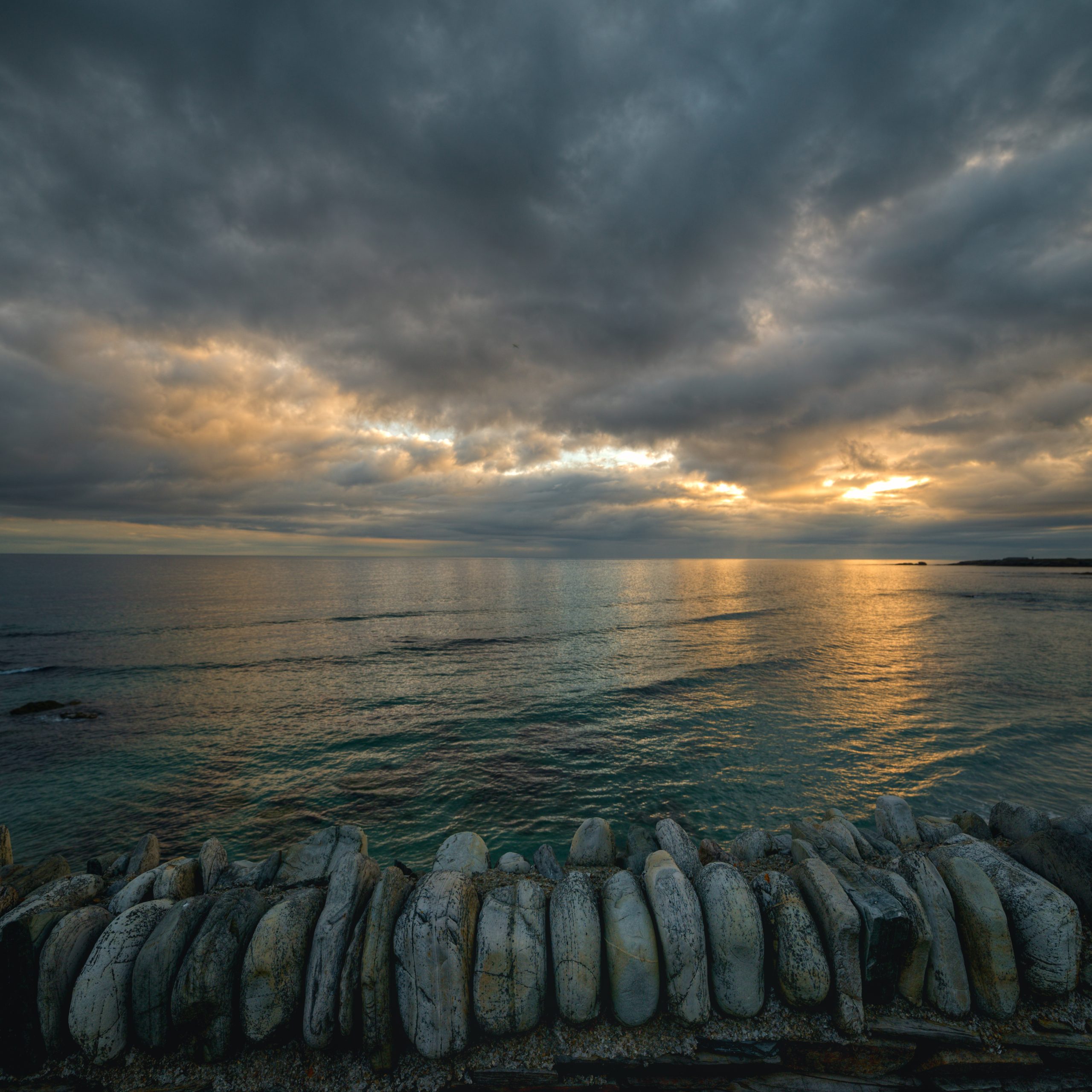 Saga